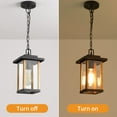 thumbnail image 6 of Smeike Outdoor Pendant Lights, Hanging Porch Lights with Clear Glass Shade, Outdoor Hanging Light for Outside Garage Driveway Patio, Wood Grain Finish & Matte Black Finish, 6 of 9