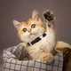 thumbnail image 2 of Pet Bone Rhinestone Collar - Ajustable 20-28cm, Material PU, Campana, para Perro/Gato, Regalo, 2 of 4