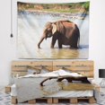 DESIGN ART Designart 'Elephant in Water in Sri Lanka' African Wall