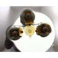 thumbnail image 3 of For Toyota 4Runner 1990 1991 Headlight Driver Side | Sealed Beam | Replacement For TO2500113 | 8115080369, 840304032976, 3 of 6