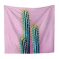 thumbnail image 1 of Tapiz de pared Tapiz de Decoración de pared Tapiz Manta de pared Hoja de tapiz para colgar en pared, Funda de sofá, Cortina, , Decoració Rosa 150X130cm Baoblaze Tapices para colgar en la pared, 1 of 8