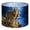 Color 3, variant on Lamp Shades Set of 2 Majestic Wolf Howling Under Vibrant Northern Lights Replacement Lamp Shade 13" x 13" x 10" Lampshade for Table Lamps Floor Lamps Easy Assembly Required