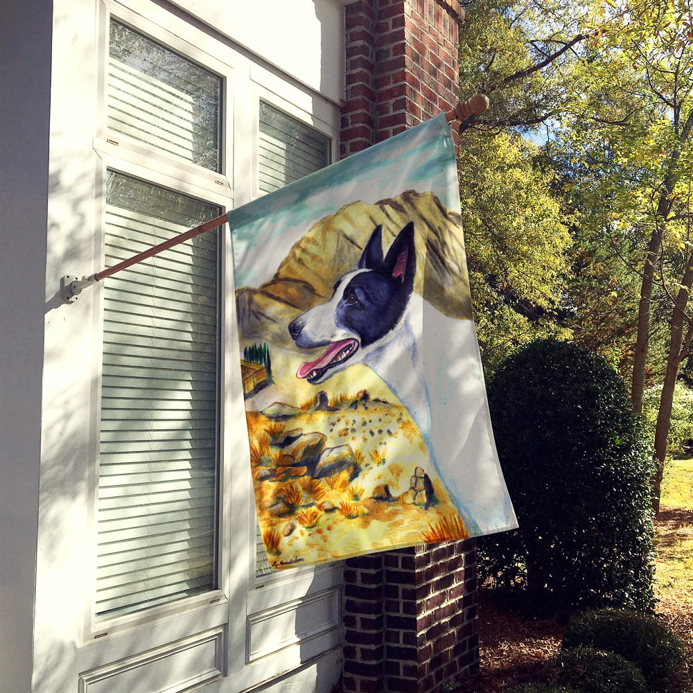 Carolines Treasures 7018-FLAG-PARENT Canaan Dog  Flag  multicolor