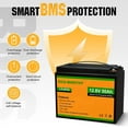 thumbnail image 4 of ECO-WORTHY 12Volts 50Ah LiFePO4 Lithium Battery with BMS, Perfect for 55lb Boat Motor Travel Trailer, 4 of 9