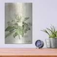 thumbnail image 4 of Luxe Metal Art 'Magnolia de Printemps v2' by Sue Schlabach, Metal Wall Art, 12"x16", 4 of 9