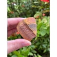 thumbnail image 4 of WHOLESALE Raw Tiger Eye, Natural Tiger Eye Stone, Natural Rough Tiger Eye, Tiger Eye Rough, Tiger Eye Healing Crystal (Tiger Eye, 0.5 Pound), 4 of 9