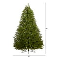 thumbnail image 3 of Nearly Natural Clear Prelit LED Green Holiday Spruce Christmas Tree, 6', 3 of 11