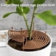 thumbnail image 2 of Rejilla Para Macetas, Cubierta Para Macetas, Protector De Flores Para Plantas, Diámetro De 7,5 Pulgadas, Protector De Rejilla Para Macetas De Plástico, Resistente Y Duradera, Cubierta Protectora Para Muyoka Hogar, 2 of 7