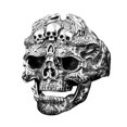 thumbnail image 1 of Anillo gótico Punk para hombre, esqueleto Retro, diablo, anillo masculino, calavera ajustable, exageración, oficial de la muerte, capitán serpiente Tan Jianjun unisex, 1 of 2