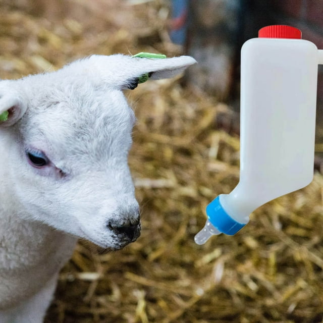 Mejor biberón de cordero de gran capacidad con tetina engrosada - garrafa de leche al revés de 800 ml para terneros y animales jóvenes