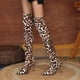 thumbnail image 1 of Zapatos de mujer con cordones en punta tacones altos leopardo moda resiliencia botas altas Wmkox8yii  hfjk389, 1 of 4