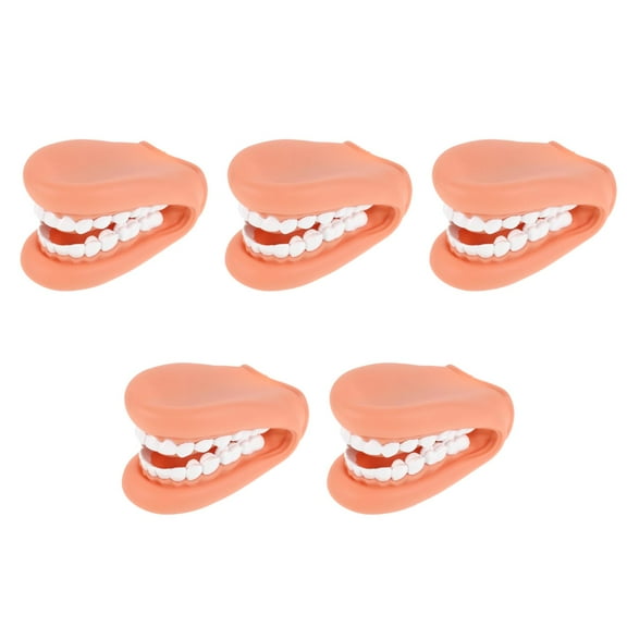 Masteelf 5pcs Standard Tooth Model Dental Mouth Model Tooth Teaching Model Dental Tooth Model Dental Tooth Model Tooth Teaching Models