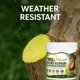 thumbnail image 4 of Tree Wound Repair Paste With Free Applicator Brush 150g Tree Pruning Sealer Dressing Plants Grafting Healing Sealant For Bonsai Fruit Trees, 4 of 8