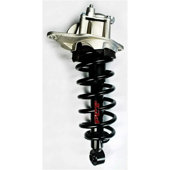 Suspension Strut and Coil Spring Assembly