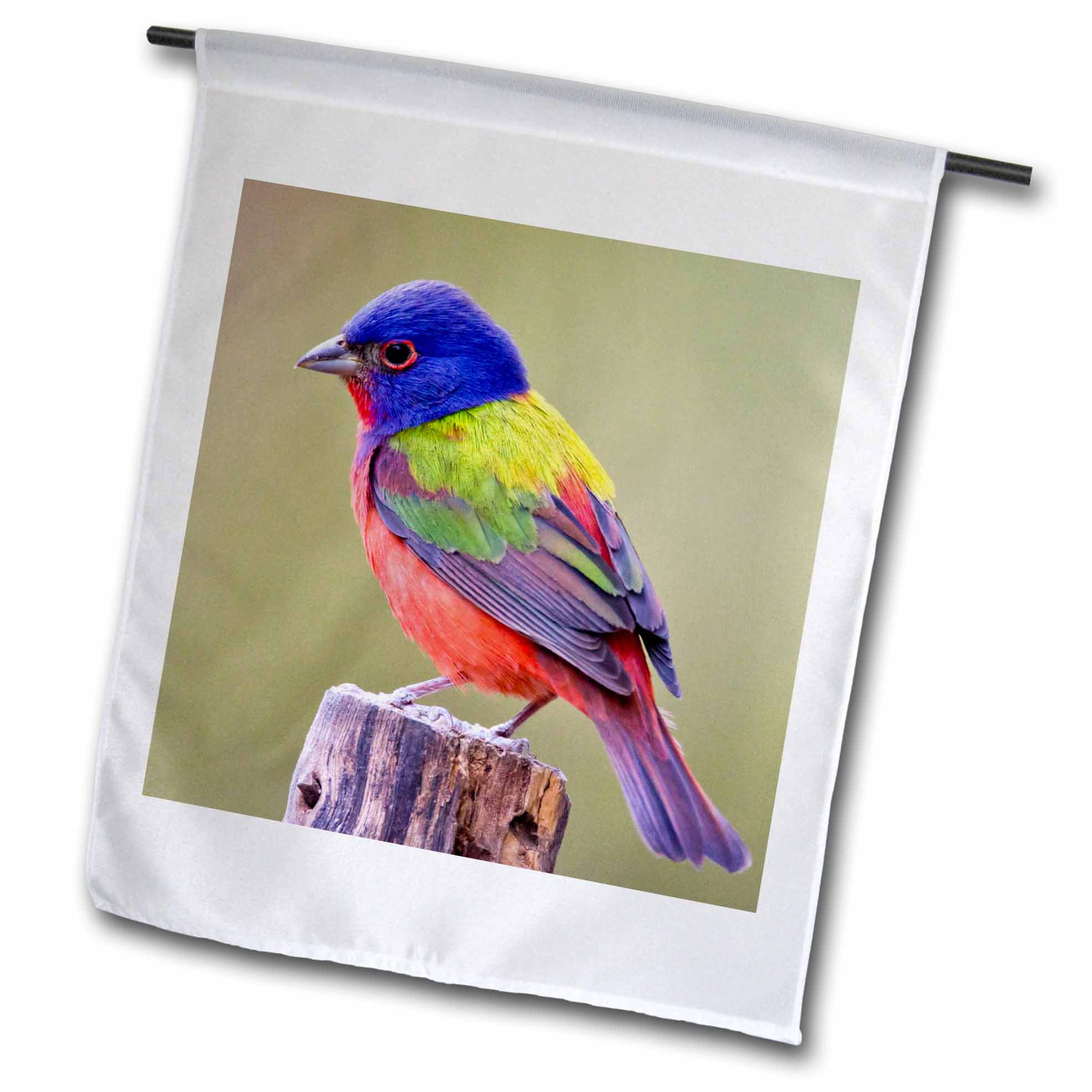 3-Inch Porcelain 3dRose ORN_147129_1 Painted Bunting Male Bird Perched Us44 Ldi1047 Larry Ditto Snowflake Ornament 3-Inch Porcelain 3dRose ORN_147129_1 Painted Bunting Male Bird Perched Us44 Ldi1047 Larry Ditto Snowflake Ornament
