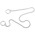 thumbnail image 4 of IFANLANDOR Stainless Steel Metal Dog Leash Silver Durable Rust Resistant Chain Collar for Medium Pets, 4 of 8