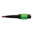 thumbnail image 3 of Eaton Tripp Lite Series 400G Multimode 50/125 OM4 Plenum-Rated Fiber Optic Cable, 16F MTP/MPO-APC (F/F), Magenta, 5 m - Network cable - MTP/MPO/APC multi-mode (F) to MTP/MPO/APC multi-mode (F) - 5 m - fiber optic - 50 / 125 micron - OM4 - plenum - black, magenta, green, 3 of 3