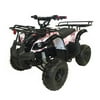 Coolster Kids 125cc ATV 3125R