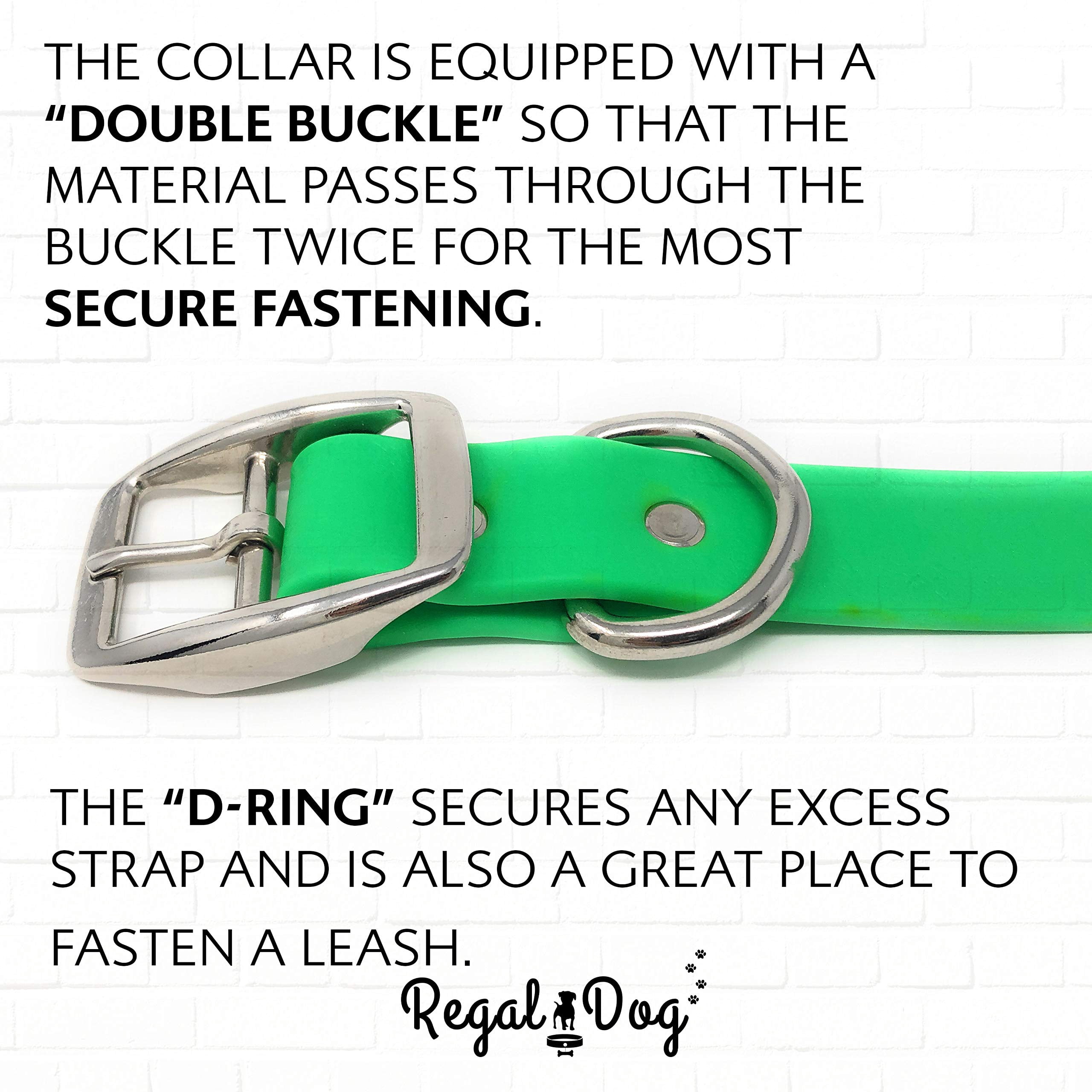 Regal Dog Products Waterproof Collar with Double Buckle and D Ring