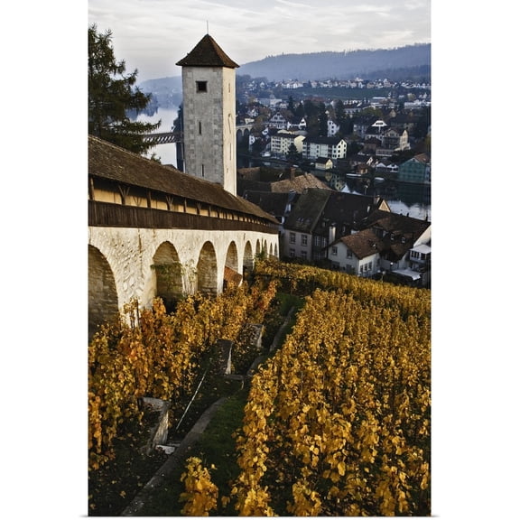 Great BIG Canvas | "Vineyard And Rhine River From Munot Castle, Schaffhausen, Switzerland" Art Print - 32x48