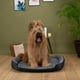 thumbnail image 4 of Cama para Perro, Resistente, Confortable, con Relleno Suave, Medidas y Color a Elegir, 4 of 9
