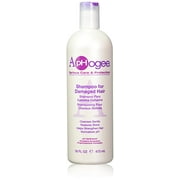 ApHogee Shampoo for Damaged Hair 16 fl oz