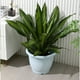 thumbnail image 3 of Yuarrent Macetas ligeras y portátiles de PP, 5 uds., todas las necesidades de jardinería, macetas de flores para interiores y exteriores, Jardín y Patio rosa 25.5*20*14.8 cm, 3 of 6