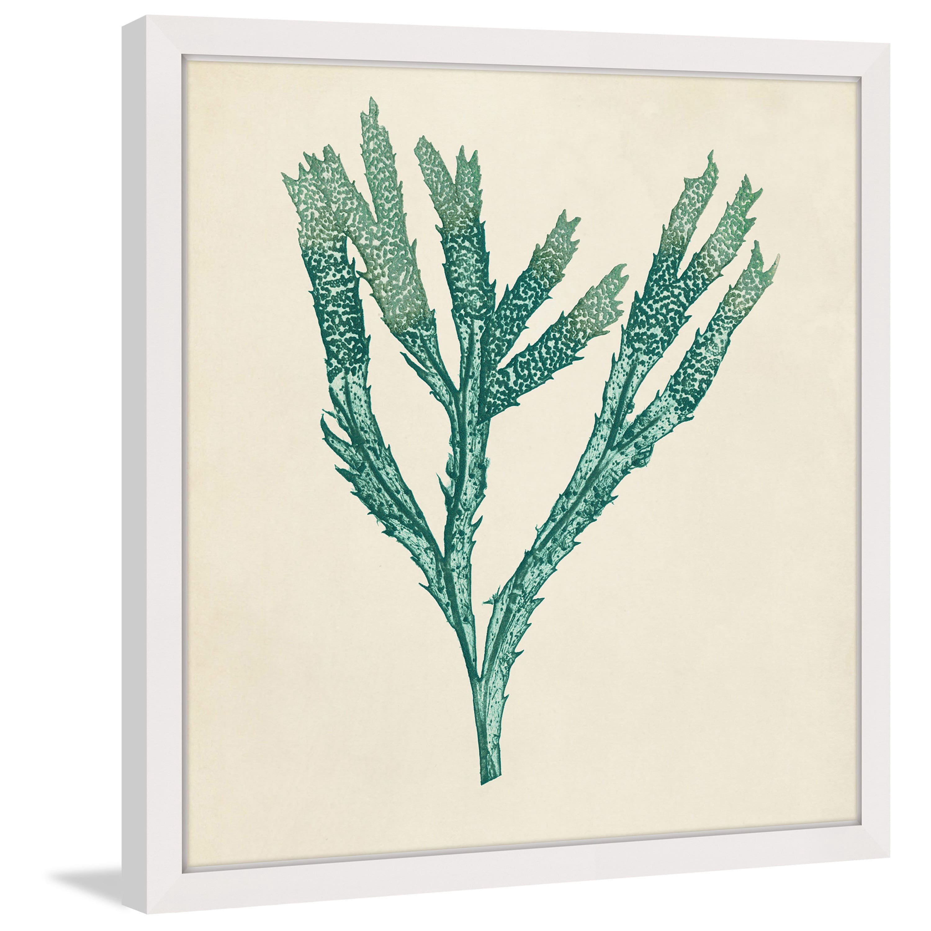 Marmont Hill "Chromatic Seaweed III" Framed Painting Print