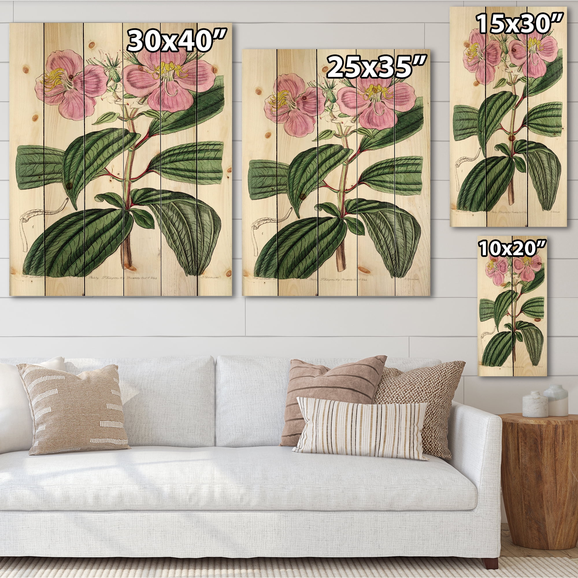 Designart 'Ancient Plant Life XXIII' Traditional Print on Natural Pine Wood
