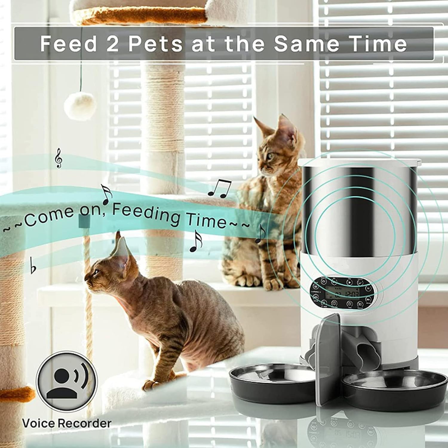 Automatic Cat Feeder for Double Pet,Pet Feeder Food Dispenser 3L/4.5L for Cat & Small Dog with Splitter & Double Bowls, Programmable 1-4 Meals Per Day & Dual Power Supply & Voice Recorder(3L)
