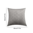 thumbnail image 3 of Lilixerw 17.7 x 17.7 Inch Decorative Throw Pillow Covers,Velvet Pillow Cover Soft Pillowcase for Sofa, 3 of 6