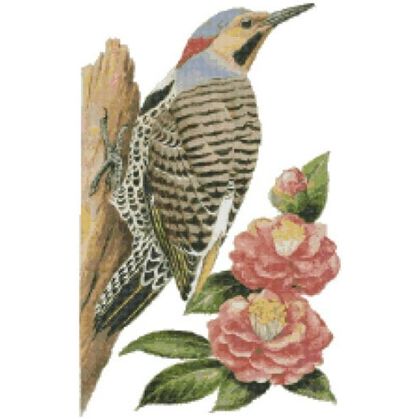 Alabama State Bird and Flower Yellowhammer Woodpecker ...