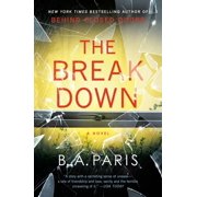 The Breakdown : A Novel (Paperback)