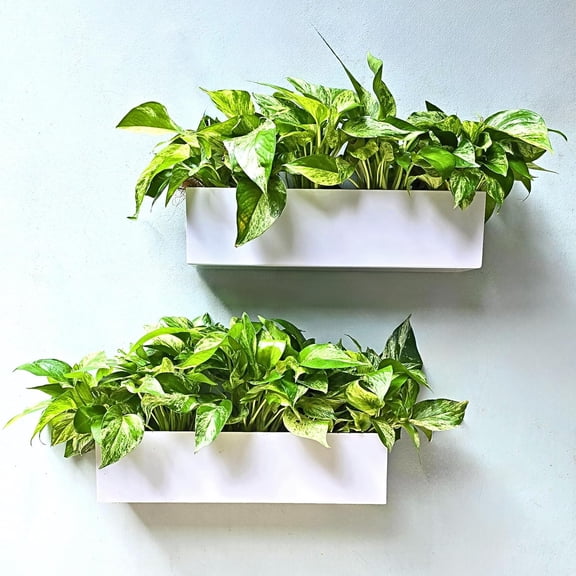 Wall Planters for Outdoor     Carbon  Metal Hanging Flower Pots  Long Rectangular Wall Mount Window Box Planters for Succulents  Balcony  Fence  Deck Garden Décor