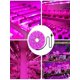 thumbnail image 5 of 1pc Plant Growth Lamp Strip, 5 of 5