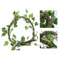 thumbnail image 4 of Reptile Climbing Branch, Reptile Flexible Branch, With Suction Cups 6.89ft Vine Reptile Rattan For Reptile Fish Store Fish   Aquarium, 4 of 8