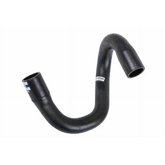 Radiator Outlet Hose