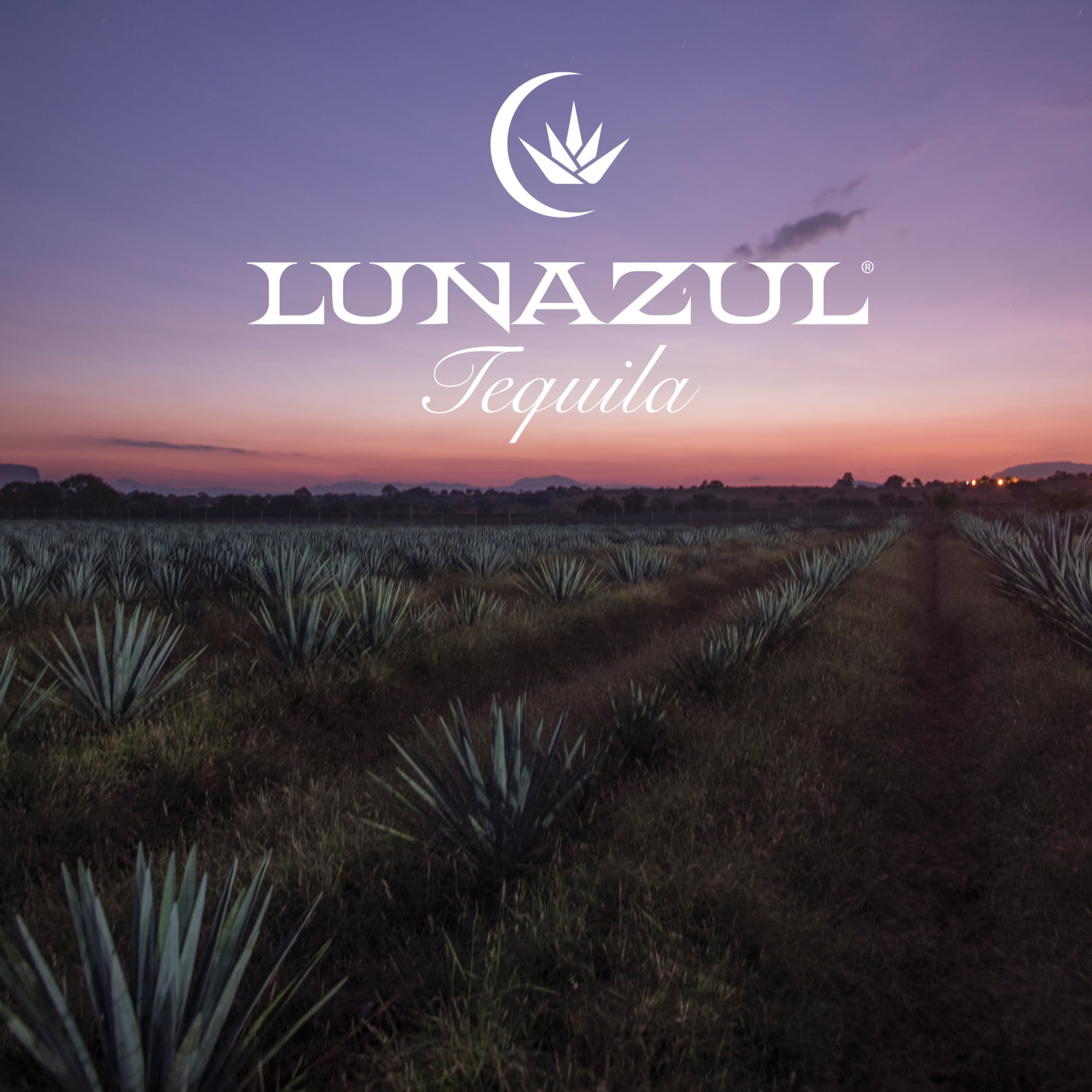 Lunazul Reposado Tequila, 750 ml Bottle, 40.0% ABV