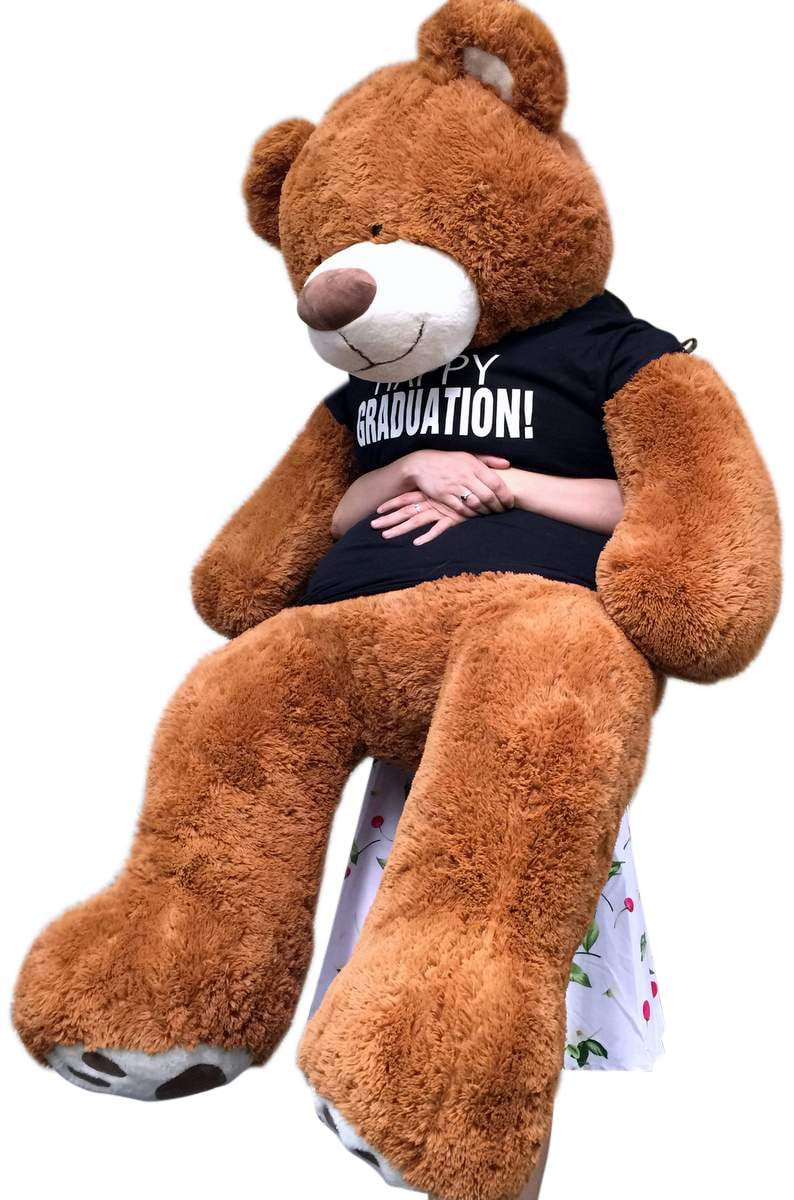 graduation stuffed animal walmart