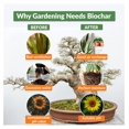 thumbnail image 5 of Biochar Soil Enhancer – 100% Organic Charcoal Amendment for Garden & Potted Plants (12 Quarts), 5 of 8