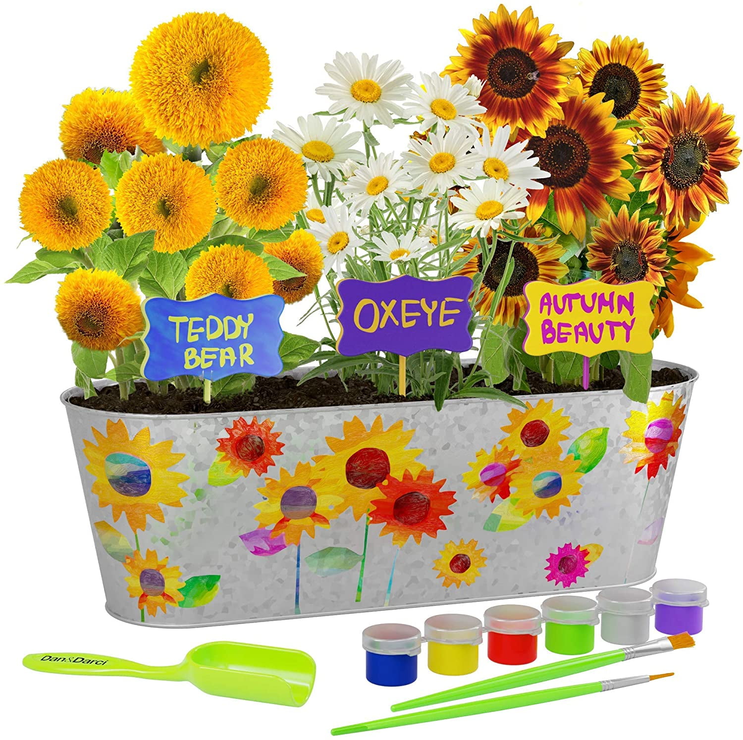 Paint and Grow Craft Kit Grow Your Own Flowers Kids Gardening Set Gifts for Girls and Boys Ages 6-12 Year Old- Arts and Crafts for Girls and Boys Paint and Plant Flower Growing Kit for Kids 