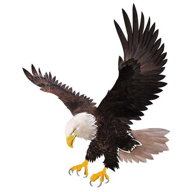 Next Innovations 101410021 Baldeagle 23 X 18 In Classic Bald Eagle Next Innovations 101410021 Baldeagle 23 X 18 In Classic Bald Eagle Wall Art