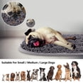 thumbnail image 2 of Snuffle Mat Rundik para perros, juego de oler y comer, 43 x 53 cm, 2 of 7