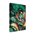 thumbnail image 2 of Trademark Fine Art 'Rainforest Prince' Canvas Art by Dann Spider Warren, 2 of 3