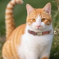 thumbnail image 5 of Vintage Style Leather Breakaway Cat Collar - Cute Cat Collar Adjustable, Durable, Retro Bell - Suitable for All Types of Cats and Small Dogs(Red）, 5 of 9