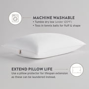 Sobel Westex Sobella Queen Size Bed Pillow | Side Sleeper Pillow for Adults | 300TC, 100% Cotton Case | Soft, Machine Washable Hotel Quality Pillow for Sleeping | 20 X 30
