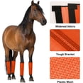 thumbnail image 3 of 4Pcs Fly Boots for Horses, Breathable Plastic Mesh Design, Horse Supplies for Reduce Stomping, Hoof Damage & Leg Fatigue (Orange), 3 of 7