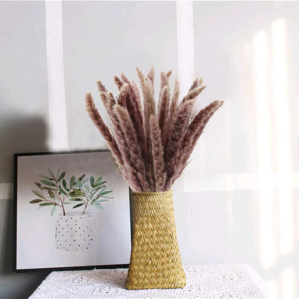 Elegant Brown Pampas Grass: 35pcs Dried Flowers for Balcony and Vase Arrangements