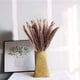 thumbnail image 3 of 25 uds. De flores secas naturales, decoración de hierba de pampas secas marrones para el hogar, mesa, balcón, ramo de flores de boda, jarrón-alrededor de 45-47cm Vhermosa, 3 of 7