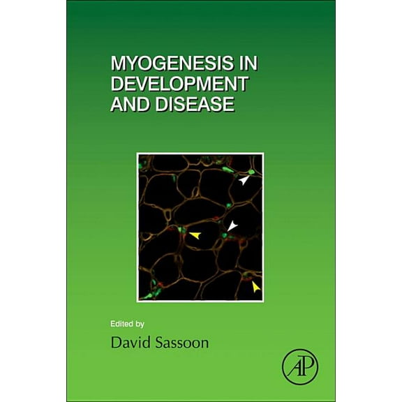 Current Topics in Developmental Biology Myogenesis in Development and Disease: Volume 126, Book 126, (Hardcover)